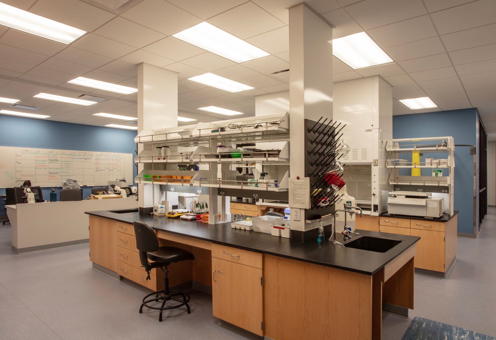 Biotech in the Classroom: Truman College Awarded ABE/Amgen Grant  to Support CPS Science Teachers